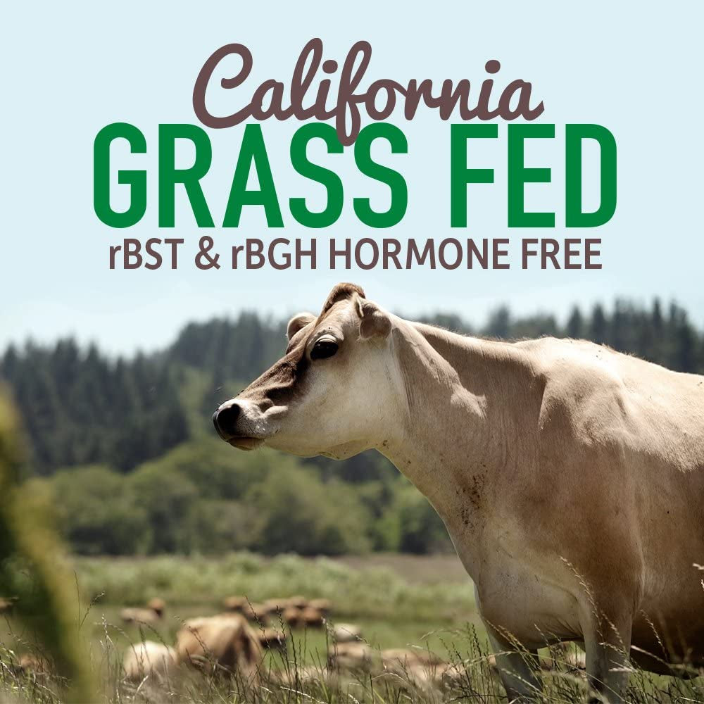 Grass Fed Whey Protein Powder Vanilla - 21G Protein for Women & Men + Probiotics - 12 Servings - Gluten Free, Non GMO, Kosher, Humane, RBST & Rbgh Hormone Free Grass Fed Whey Protein Powder Vanilla - 21G Protein for Women & Men + Probiotics - 12 Servings - Gluten Free, Non GMO, Kosher, Humane, RBST & Rbgh Hormone Free
