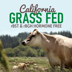 Grass Fed Whey Protein Powder Vanilla - 21G Protein for Women & Men + Probiotics - 12 Servings - Gluten Free, Non GMO, Kosher, Humane, RBST & Rbgh Hormone Free Grass Fed Whey Protein Powder Vanilla - 21G Protein for Women & Men + Probiotics - 12 Servings - Gluten Free, Non GMO, Kosher, Humane, RBST & Rbgh Hormone Free