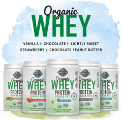 Grass Fed Whey Protein Powder Vanilla - 21G Protein for Women & Men + Probiotics - 12 Servings - Gluten Free, Non GMO, Kosher, Humane, RBST & Rbgh Hormone Free Grass Fed Whey Protein Powder Vanilla - 21G Protein for Women & Men + Probiotics - 12 Servings - Gluten Free, Non GMO, Kosher, Humane, RBST & Rbgh Hormone Free