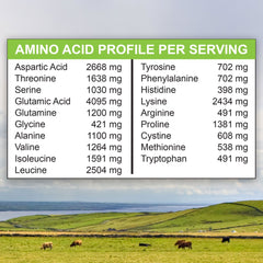 Grass-Fed Whey Isolate Protein Powder Rich Chocolate Malt 1LB - Cold Processed, Undenatured, Non-Gmo, Rbgh Free, Soy Free, Gluten Free Grass-Fed Whey Isolate Protein Powder Rich Chocolate Malt 1LB - Cold Processed, Undenatured, Non-Gmo, Rbgh Free, Soy Free, Gluten Free