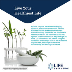 Coffeegenic Green Coffee Extract - Helps Maintain Already-Healthy Glucose Levels after Meals - Gluten-Free, Non-Gmo - 90 Vegetarian Capsules Coffeegenic Green Coffee Extract - Helps Maintain Already-Healthy Glucose Levels after Meals - Gluten-Free, Non-Gmo - 90 Vegetarian Capsules