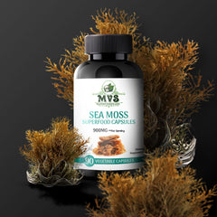 MVS (My Vitamin Store)  600mg Sea Moss Advanced Capsules, 60 Count - High-Potency, Vegan, Made in The USA - Irish Seamoss - Overall Health, Immunity Support 90 CT