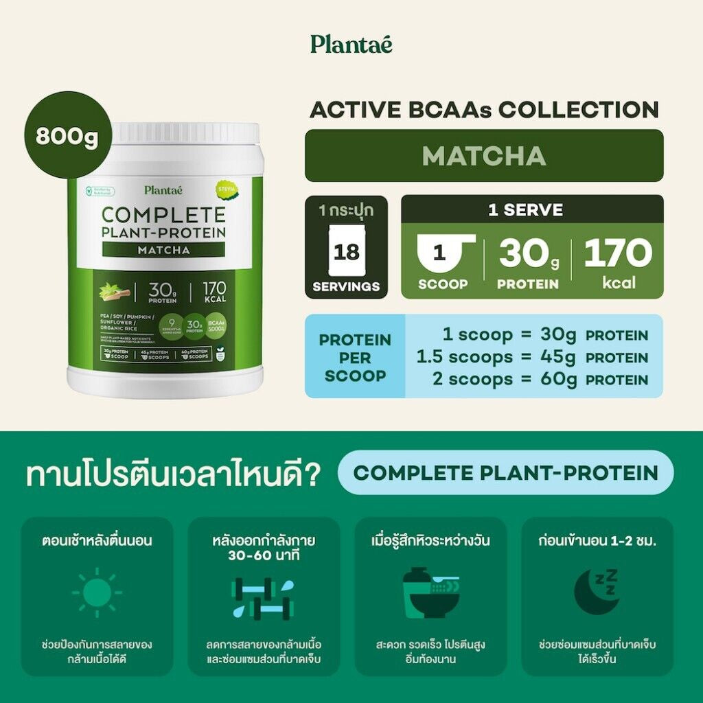 2X Plantae Complete Plant Protein Matcha Flavor Instant Powder Drink Bcaas 800 G