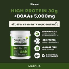 2X Plantae Complete Plant Protein Matcha Flavor Instant Powder Drink Bcaas 800 G